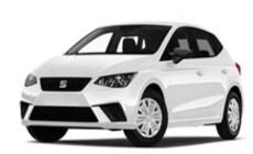 Suzuki Ibiza